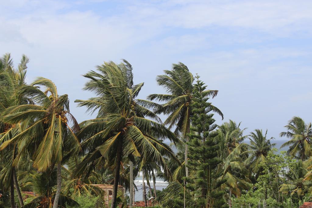 Lion Palace Weligama Zewnętrze zdjęcie